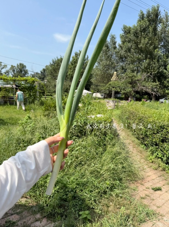 吴昌泽妻子社媒晒近照 2025-26赛季场均2.2分2.1篮板 吴昌泽妻子社媒晒近照 2025-26赛季场均2.2分2.1篮板