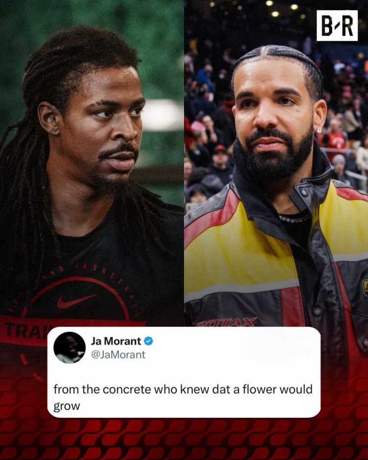 重新出发！莫兰特晒Drake歌词：谁能想到 水泥地里会长出一朵花